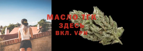 гидра Майский