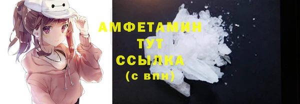 гидра Майский