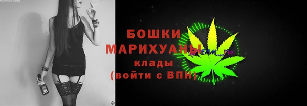 гидра Майский