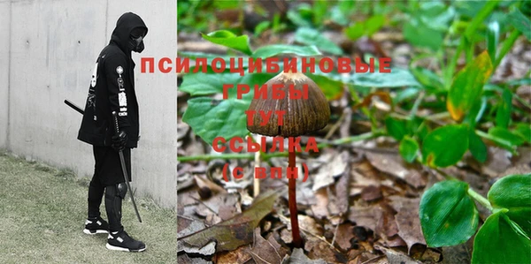 метадон Медногорск