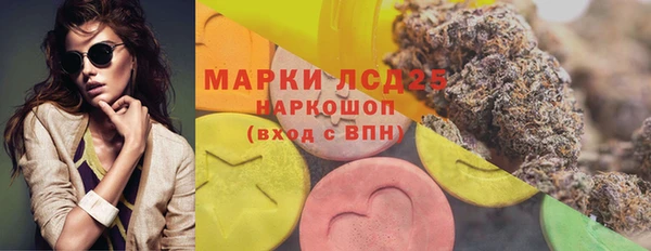 гидра Майский