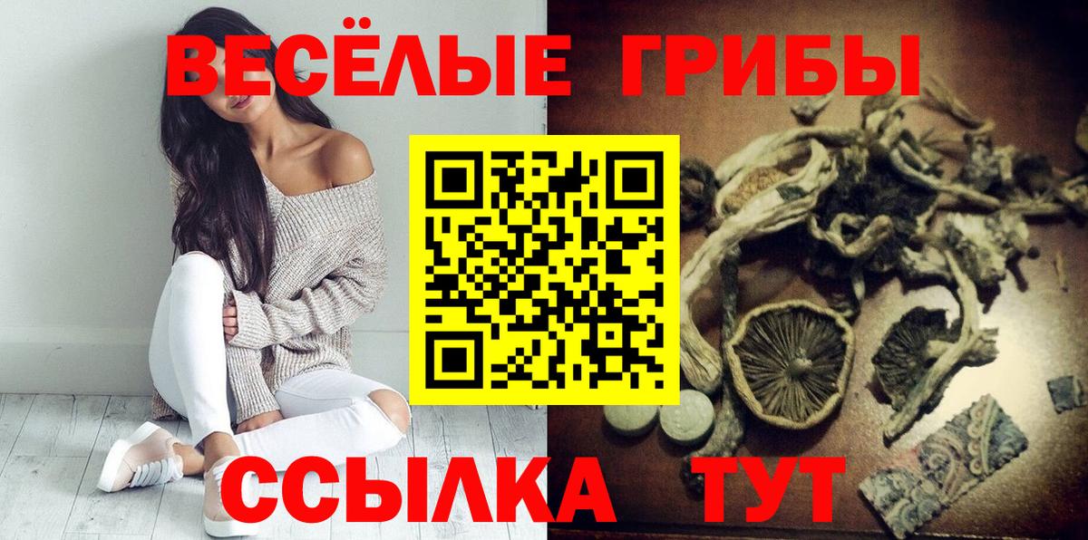 Галлюциногенные грибы MAGIC MUSHROOMS  Вход с VPN  Людиново 