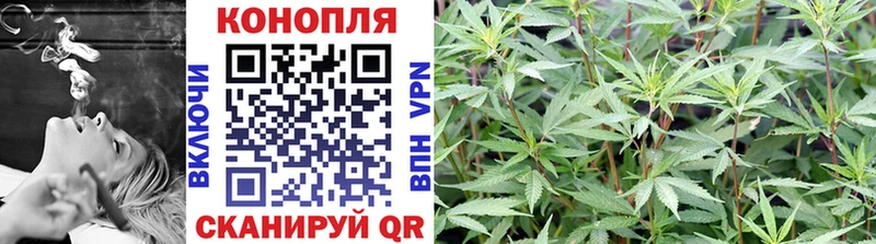 Бошки марихуана OG Kush  ссылка на мегу как войти  Людиново 